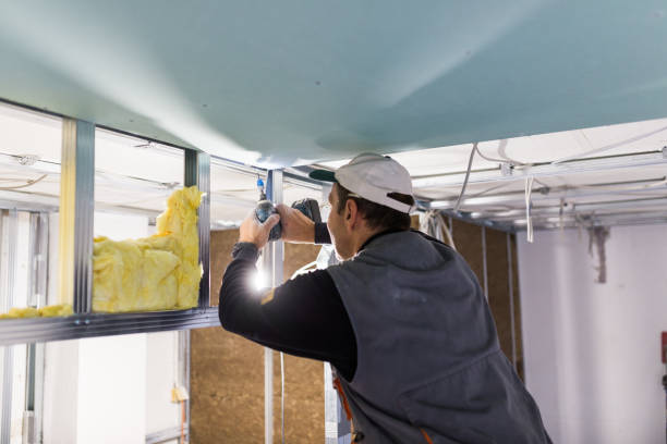 Best Commercial Insulation in Crystal Lake, IL